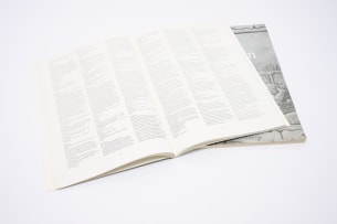 Johannes Rein ter Molen; Van Vianen; Deel 1 & Deel 2 (tr. from Vianen; Part 1 & Part 2)