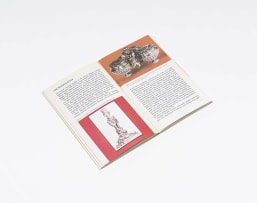 Eleanor Hughes; Silver for Collectors