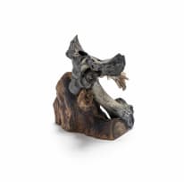 Wimpie Cilliers; Untitled