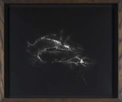 Gerhard Marx; Bird with Roots