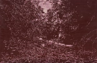 Peter Eastman; Deep Chine XXX