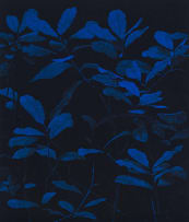 Peter Eastman; Bigger Blue Light