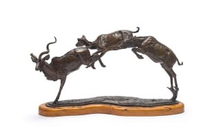 Arend Eloff; Leaping Kudus