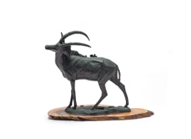 Arend Eloff; Sable Antelope with Tick Birds