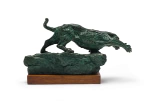 Jo Roos; Leopard