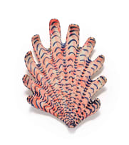 Lucie de Moyencourt; Twelve glazed ceramic shells