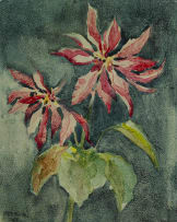 Strat Caldecott; The Red Tray