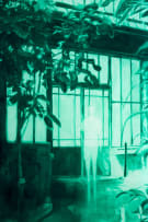 Ruby Swinney; Conservatory