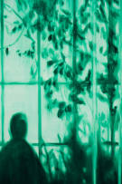 Ruby Swinney; Conservatory