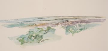 Lynette ten Krooden; Landscapes, seven