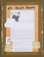 Michael Hallier; Veldt Nymph