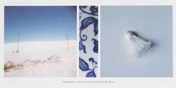 Lien Botha; Amendment 3: The Case of Going Dutch in the Desert