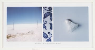 Lien Botha; Amendment 3: The Case of Going Dutch in the Desert
