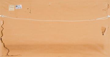 Lien Botha; Amendment 3: The Case of Going Dutch in the Desert