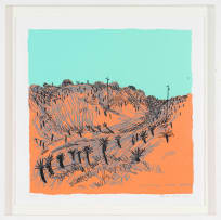 Conrad Botes; Aalwyne naby Infanta (Aloes near Infanta)