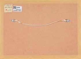 Conrad Botes; Sleeping Nude
