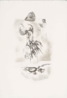 Ezrom Legae; From the Chicken Series
