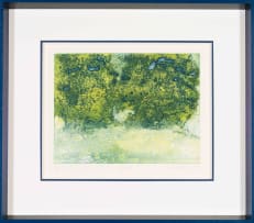 Sue Williamson; Hedgerow