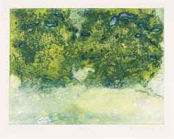 Sue Williamson; Hedgerow