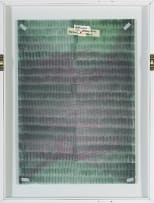 Cathy Abraham; Ripple Ghost III