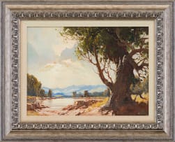 Titta Fasciotti; A (sic) Old Oak Tree near George