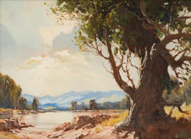 Titta Fasciotti; A (sic) Old Oak Tree near George