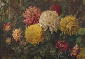 Borge Stuckenberg; Chrysanthemums