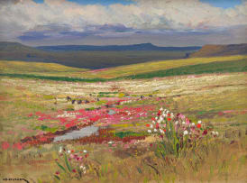 Willem Hermanus Coetzer; Kosmos naby Vrede (Cosmos near Vrede)