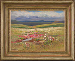 Willem Hermanus Coetzer; Kosmos naby Vrede (Cosmos near Vrede)