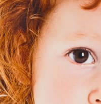Anthea Pokroy; Ruby (038), 'I Collect Gingers' series