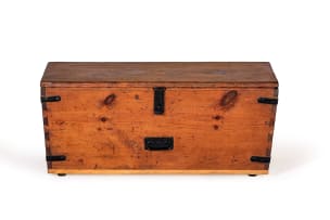 Cape yellowwood kist, South Africa, 19th century