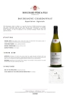 Bouchard Père et Fils; Bourgogne Chardonnay; 2021; 12 (1 x 12); 750ml
