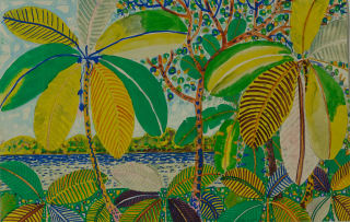 Gerard Devoud; Seychelles