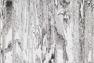 Nathaniel Stern; Response, portfolio