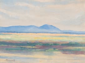Jacob Hendrik Pierneef; Springbok Vlakte