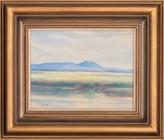 Jacob Hendrik Pierneef; Springbok Vlakte