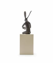 Guy du Toit; Reading Hare