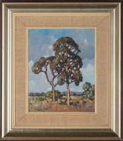 Conrad Theys; Blue Gum Tree