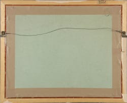 Thomas Bowler; Richmond, Cape of Good Hope, from the Mosenthal Establishments Commission