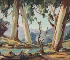 Johannes Oldert; Blue Gums