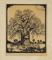 WE Mussmann; Baobab