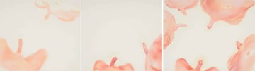 Mark Hipper; Boys, triptych