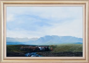 Peter Bonney; Natal Midlands