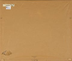 Kenneth Newman; Swainson's Francolins (Francolinus Swainsoni)