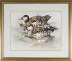Barbara Siedle; Mallard Duck