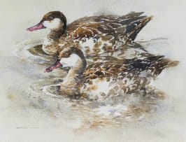 Barbara Siedle; Mallard Duck