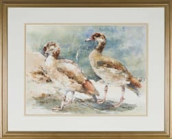 Barbara Siedle; Egyptian Geese