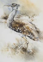 Barbara Siedle; Bustard