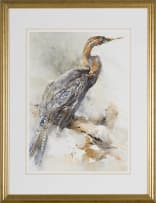 Barbara Siedle; Darter