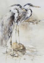 Barbara Siedle; Herons